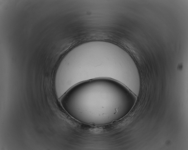 X0000097810362200803140804