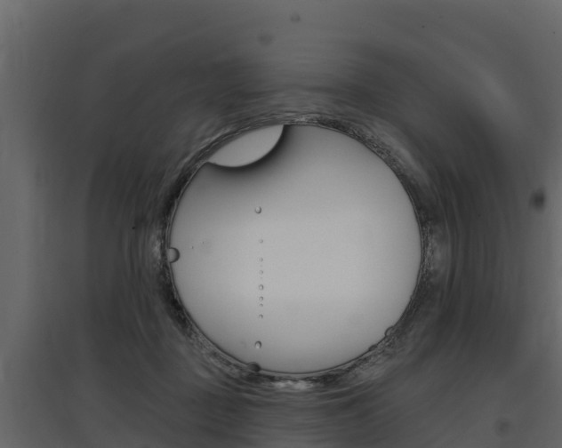 X0000097810363200803140804