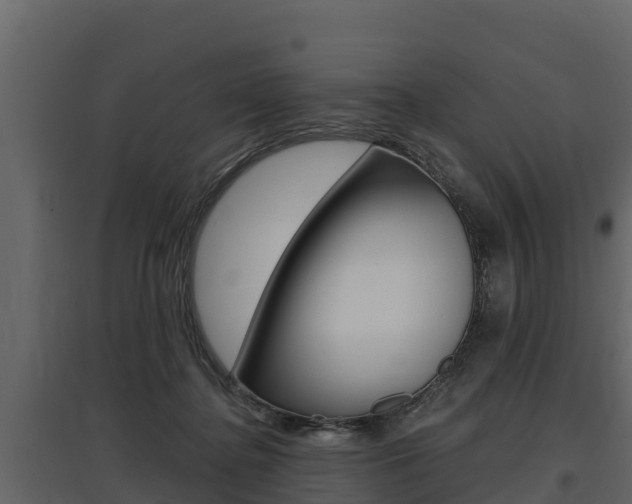 X0000097810364200803140804