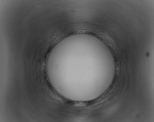 X0000097810369200803140804