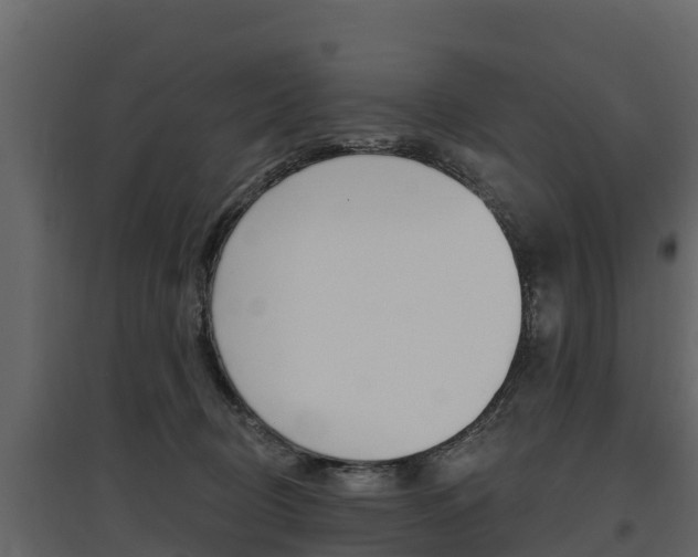 X0000097810370200803140804