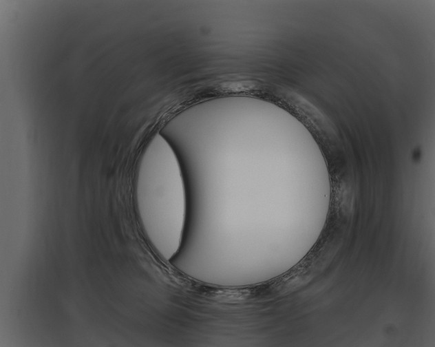 X0000097810373200803140804
