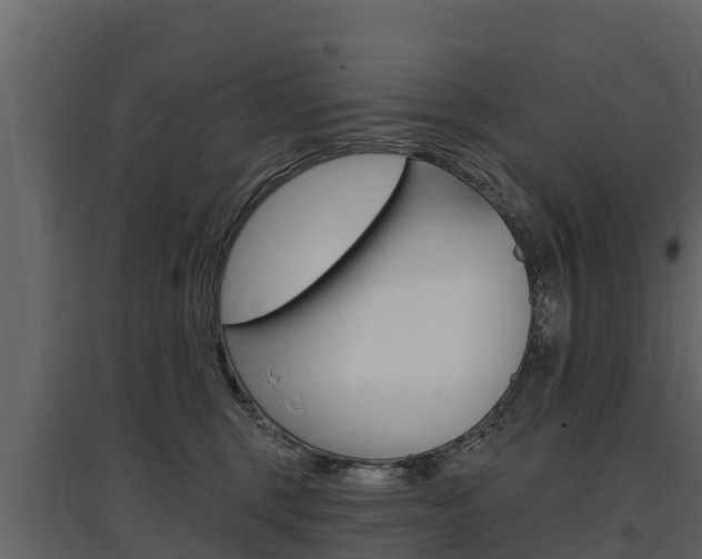 X0000097810375200803140804