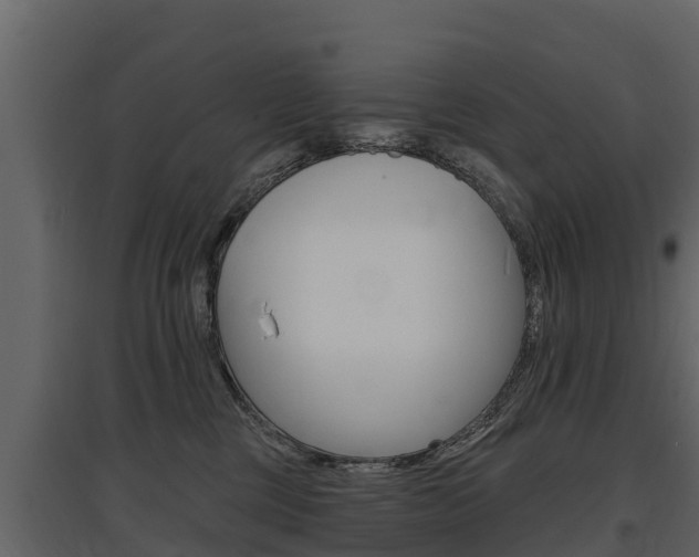 X0000097810377200803140804