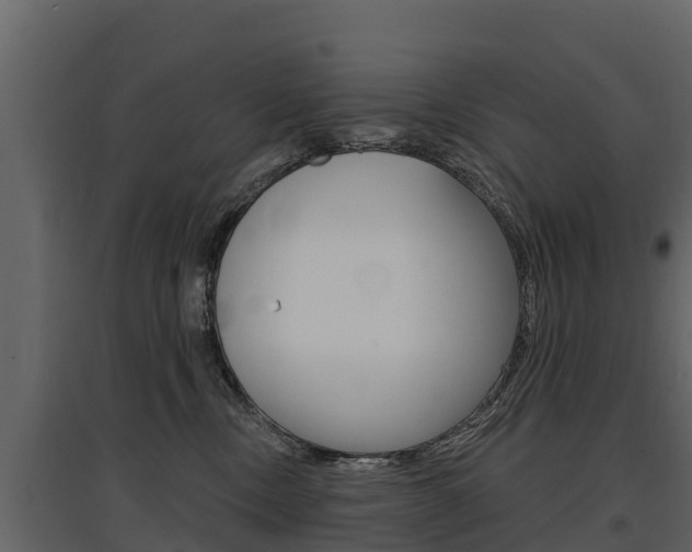 X0000097810378200803140804