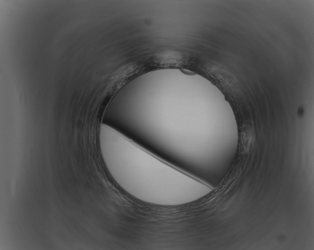 X0000097810379200803140804