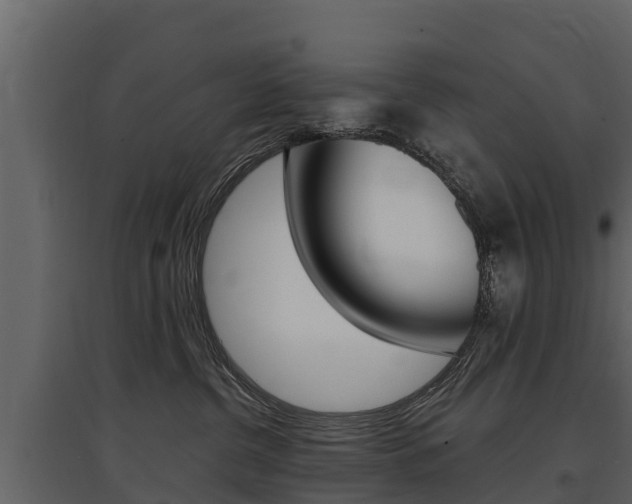X0000097810380200803140804