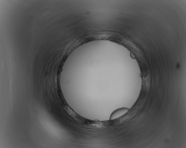 X0000097810381200803140804