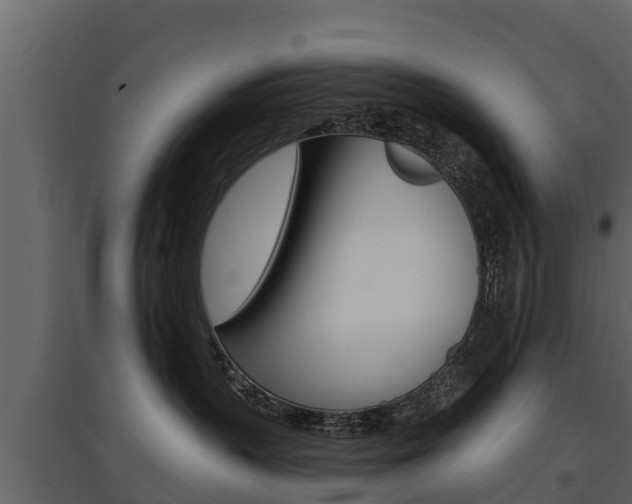 X0000097810383200803140804