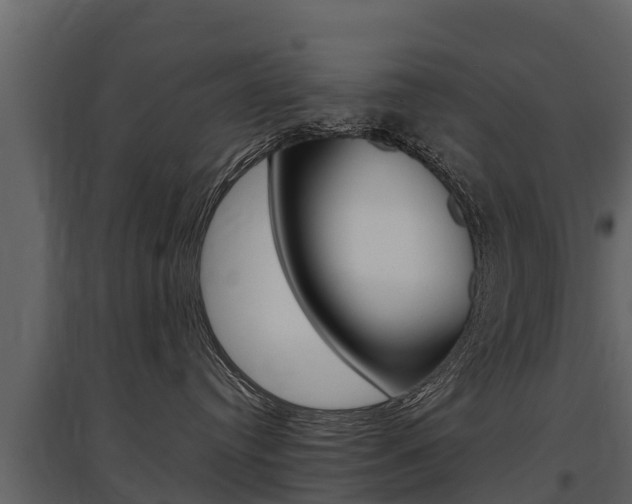X0000097810384200803140804