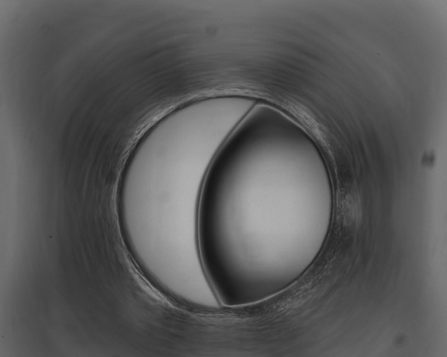 X0000097810389200803140803