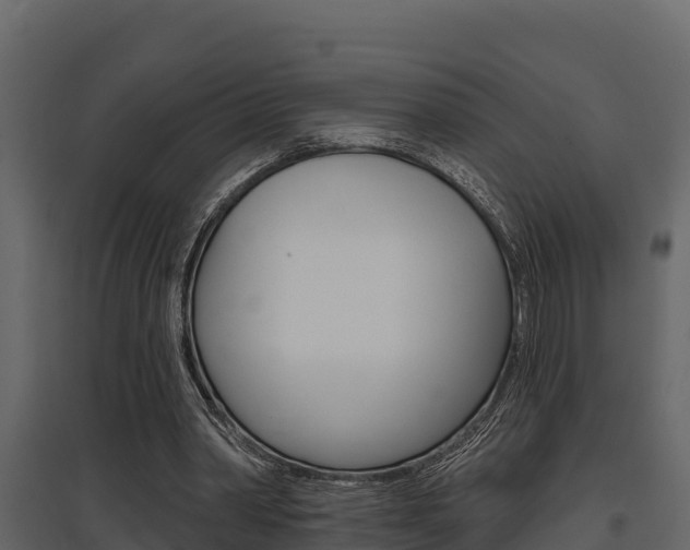 X0000097810390200803140803