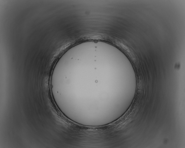 X0000097810394200803140803