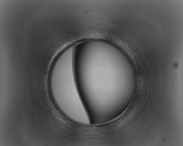 X0000097810395200803140803