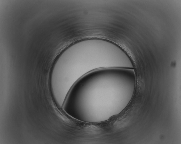 X0000097810397200803140803