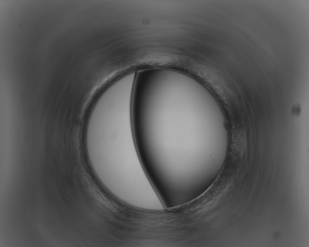 X0000097810399200803140803