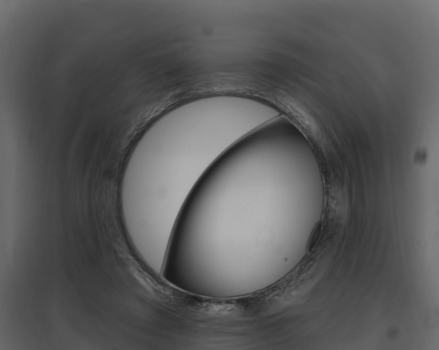 X0000097810401200803140803