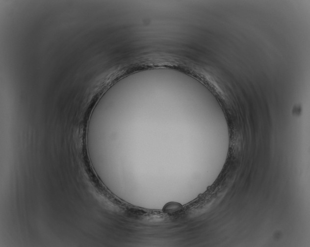 X0000097810402200803140803