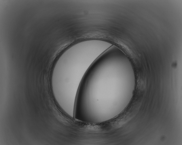 X0000097810403200803140803