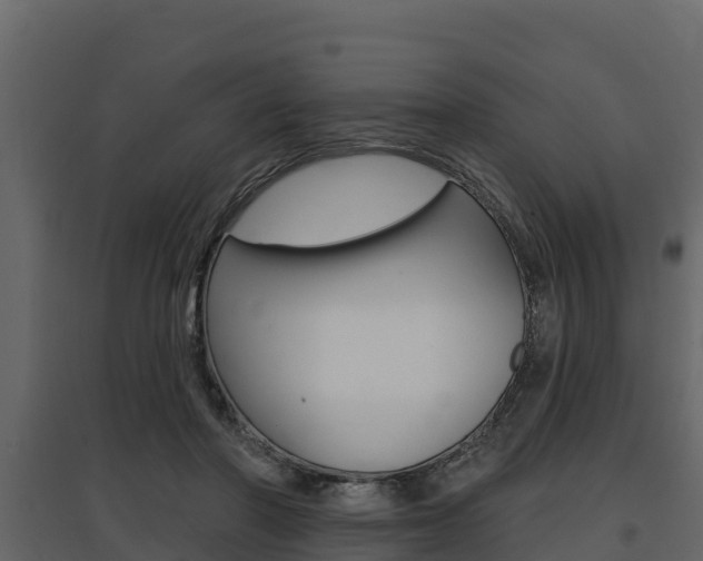 X0000097810406200803140803