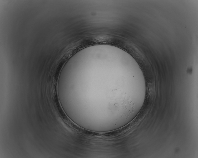 X0000097810408200803140803