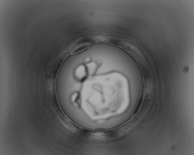 X0000097810409200803140803