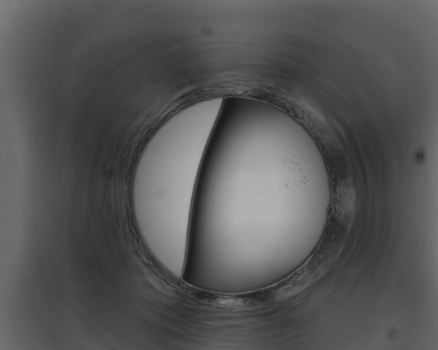 X0000097810413200803140803