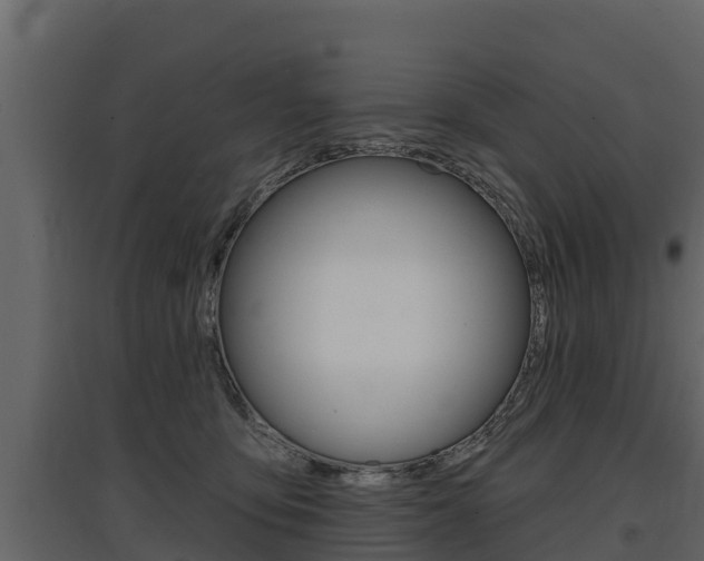 X0000097810419200803140803