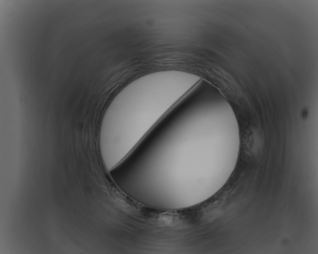 X0000097810420200803140803
