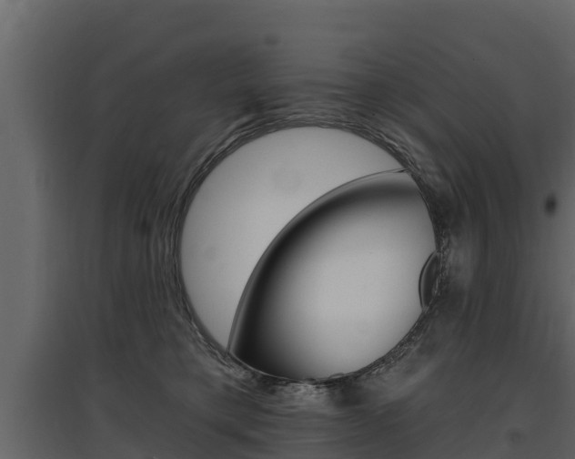 X0000097810421200803140803