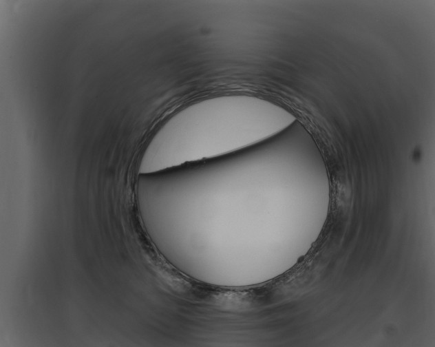 X0000097810422200803140803