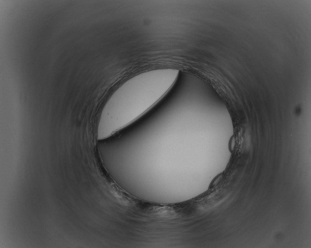 X0000097810424200803140803