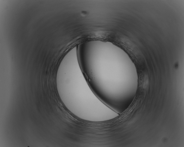X0000097810425200803140803