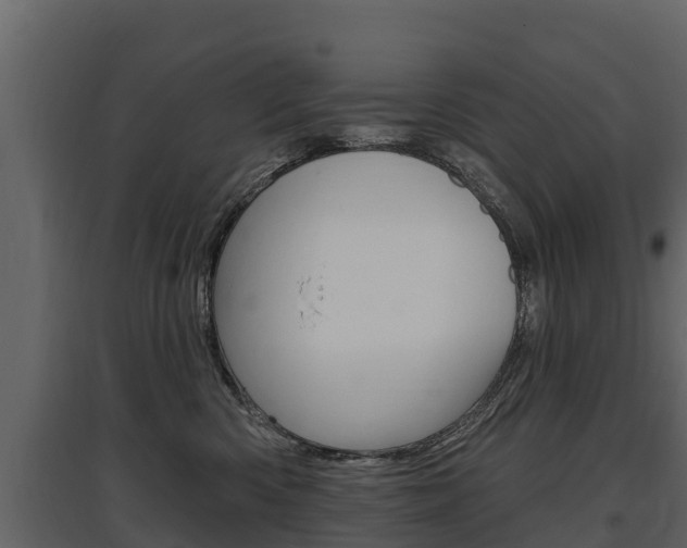 X0000097810426200803140803