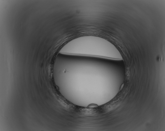 X0000097810428200803140803