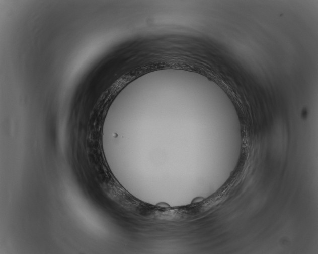X0000097810430200803140803