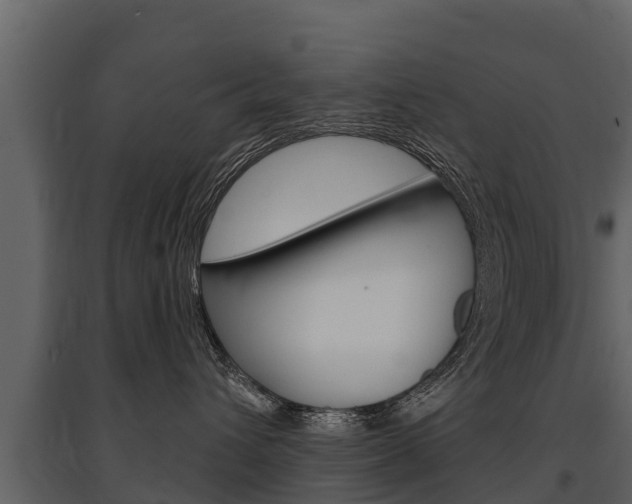 X0000097810432200803140803