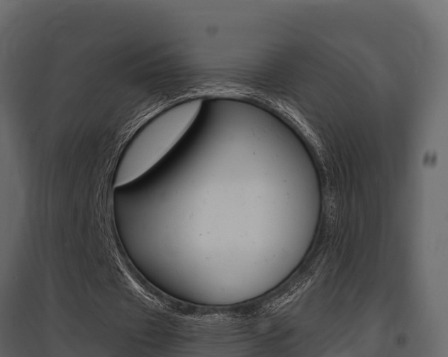 X0000097810433200803140802