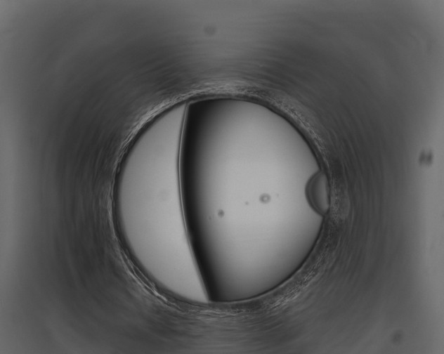 X0000097810434200803140802