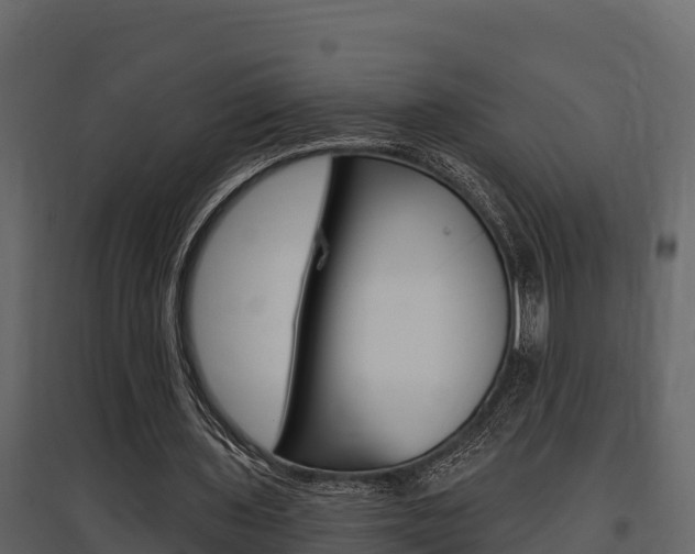 X0000097810435200803140802