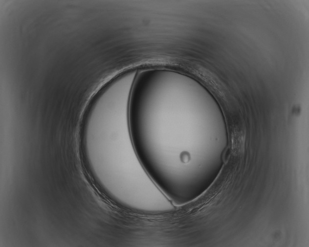 X0000097810436200803140802