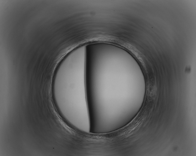 X0000097810437200803140802