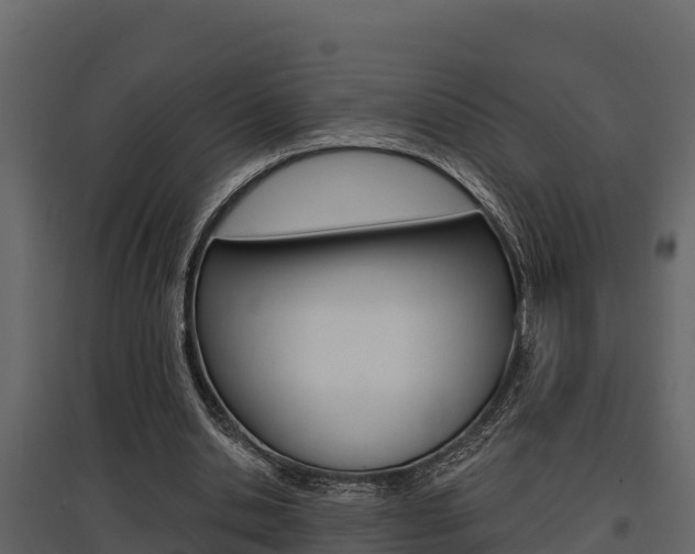 X0000097810438200803140802