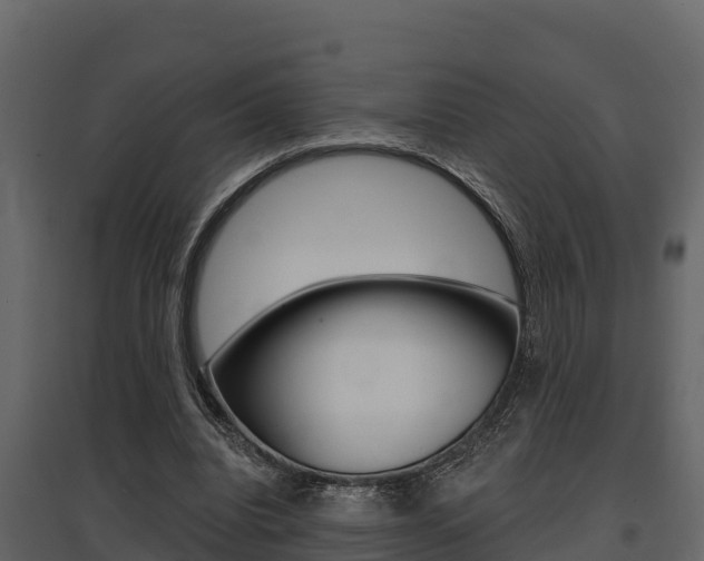 X0000097810440200803140802