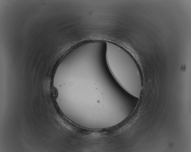 X0000097810441200803140802