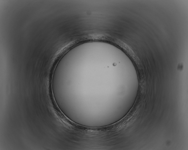 X0000097810442200803140802