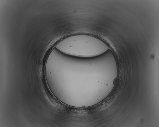X0000097810443200803140802