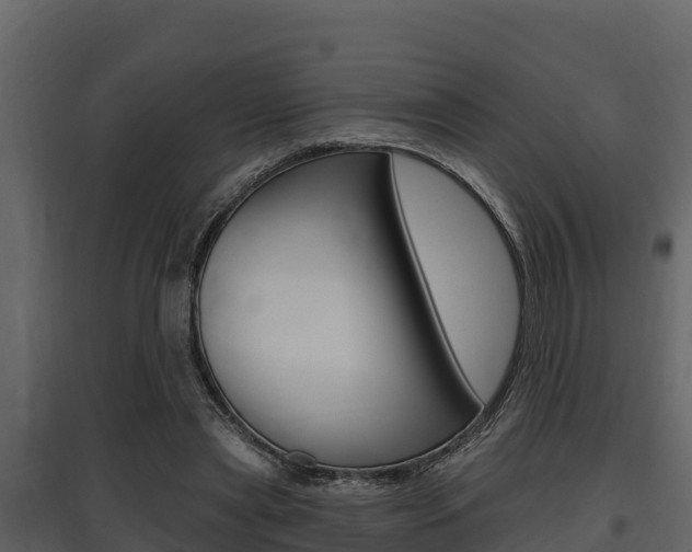 X0000097810445200803140802