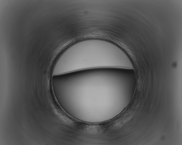 X0000097810446200803140802