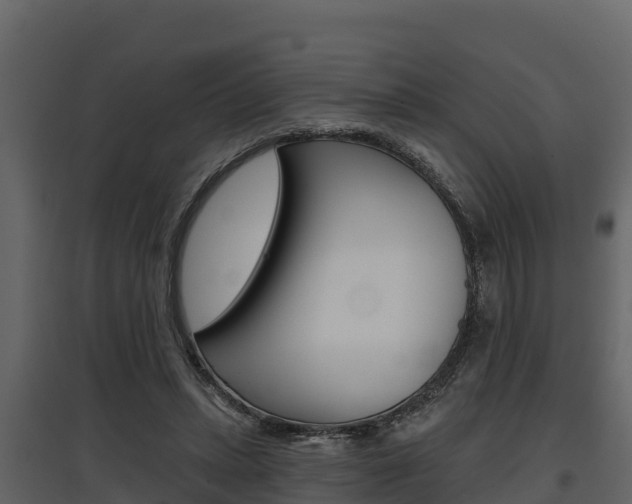 X0000097810447200803140802